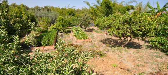 4 bedrooms House in Casares, Spain No. 38737 28