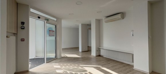 Propriété commerciale à Sélestat, France 293m² No. 317263 3