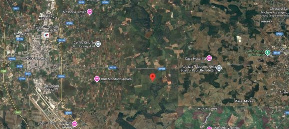 247160m² Land in Gioia del Colle, Italy No. 373229 16