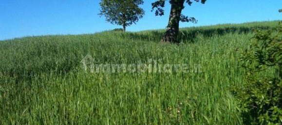 247160m² Land in Gioia del Colle, Italy No. 373229 9