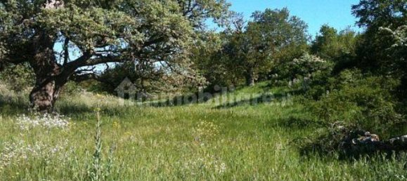 247160m² Land in Gioia del Colle, Italy No. 373229 2