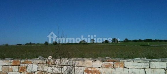 247160m² Land in Gioia del Colle, Italy No. 373229 6