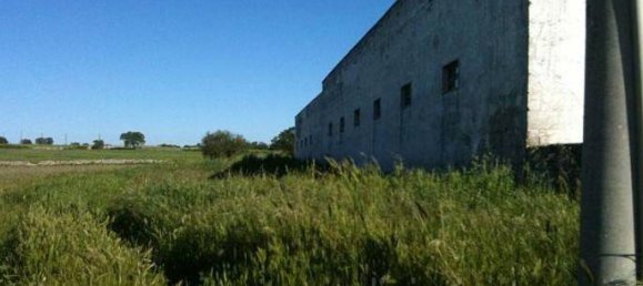 247160m² Land in Gioia del Colle, Italy No. 373229 8