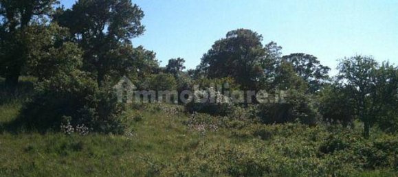 247160m² Land in Gioia del Colle, Italy No. 373229 12