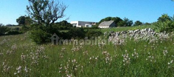 247160m² Land in Gioia del Colle, Italy No. 373229 11