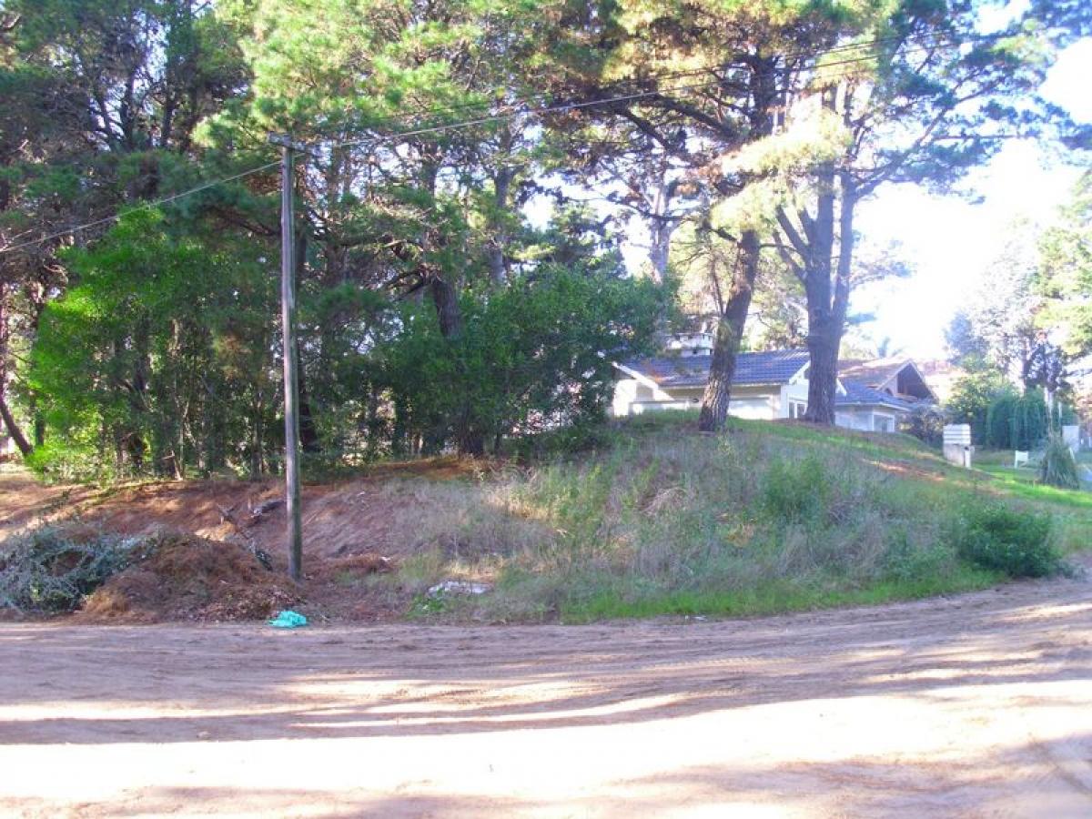  قطعة أرض في Mar del Plata, Argentina رقم 119053