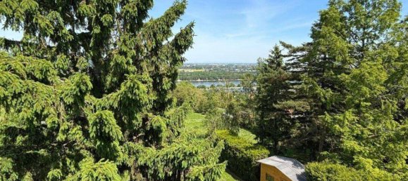 12غرفة منزل في Klosterneuburg, Austria رقم 149988 15