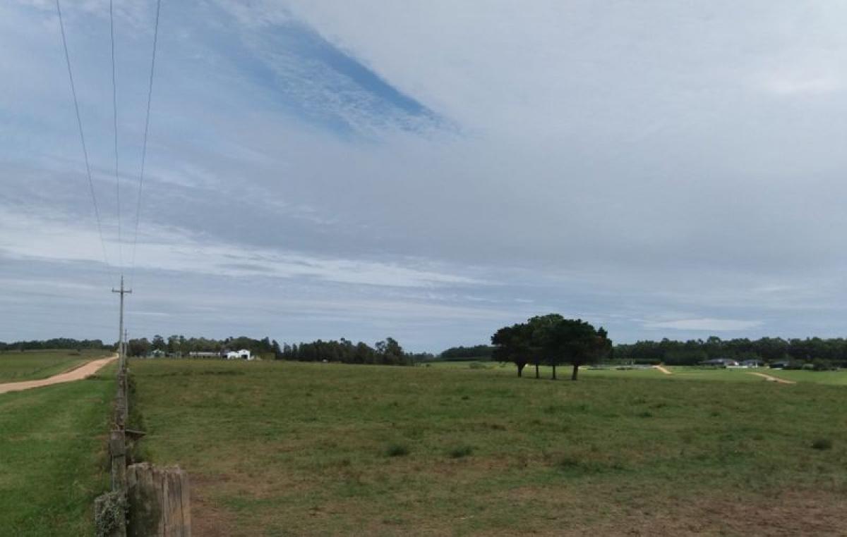  Farm in Maldonado, Uruguay No. 15115