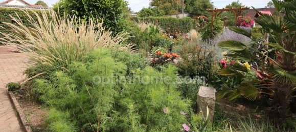 2 bedrooms House in Saint-Pere-sur-Loire, France No. 264500 18