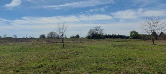 8170m² Land in Vicolungo, Italy No. 71720 3