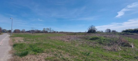 8170m² Land in Vicolungo, Italy No. 71720 8