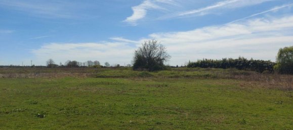 8170m² Land in Vicolungo, Italy No. 71720 5