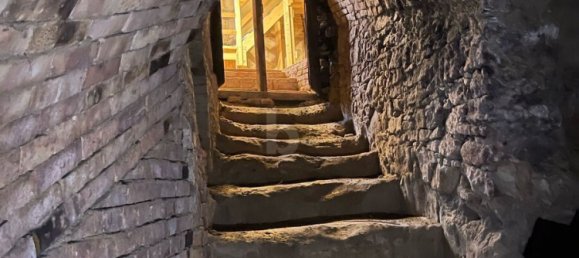 Propiedad comercial en Ulrichskirchen-Schleinbach, Austria No. 210902 5