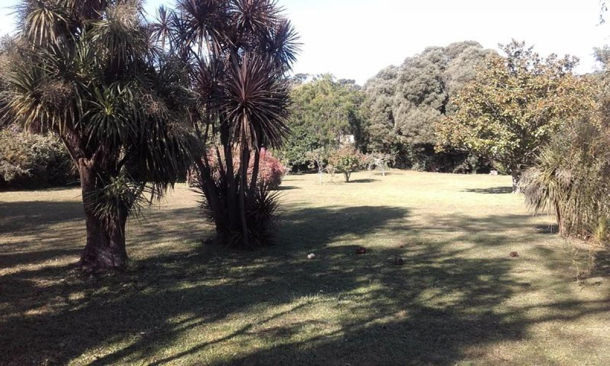  قطعة أرض في Mar del Plata, Argentina رقم 116536