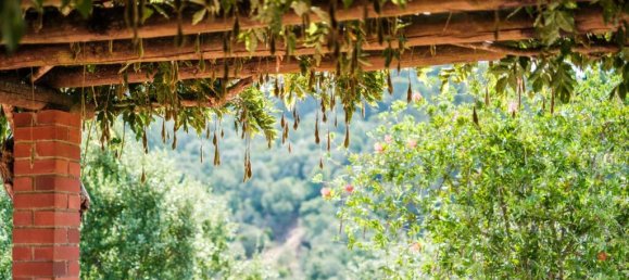 Grundstück in Palmela, Portugal, Nr. 306378 27