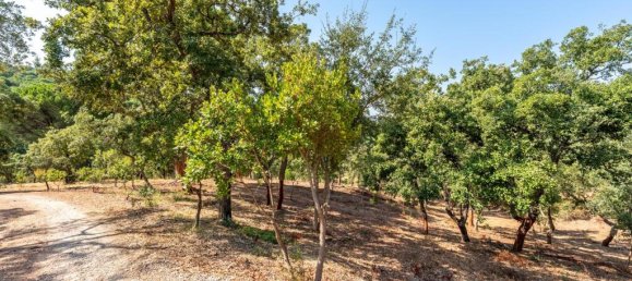 Grundstück in Palmela, Portugal, Nr. 306378 25