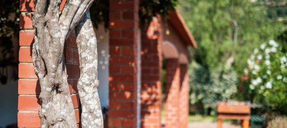 Grundstück in Palmela, Portugal, Nr. 306378 13