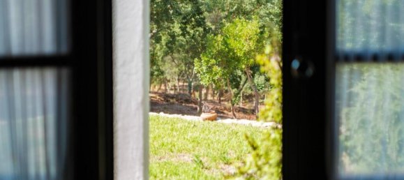 Grundstück in Palmela, Portugal, Nr. 306378 47