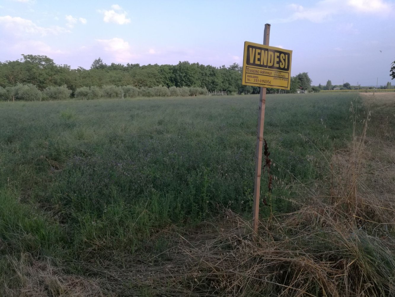 3300m² Land in Monte San Vito, Italy No. 251787