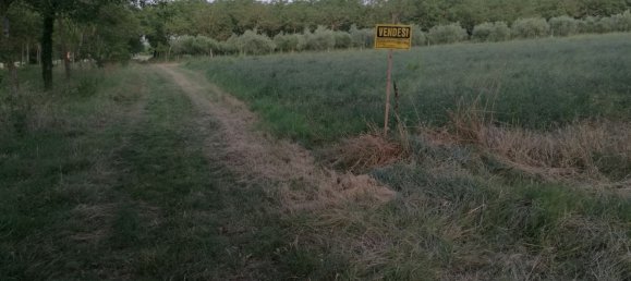 Grundstück in Monte San Vito, Italy 3300m², Nr. 251787 2