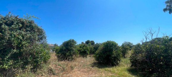 1000m² Land in Syracuse, Italy No. 333872 14