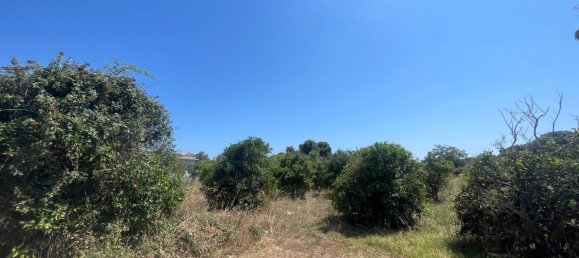 1000m² Land in Syracuse, Italy No. 333872 4