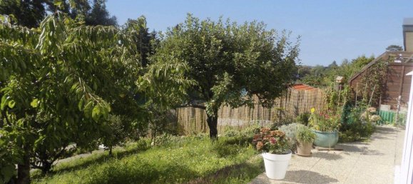 2 rooms Bungalow in Gross-Enzersdorf, Austria No. 218455 10