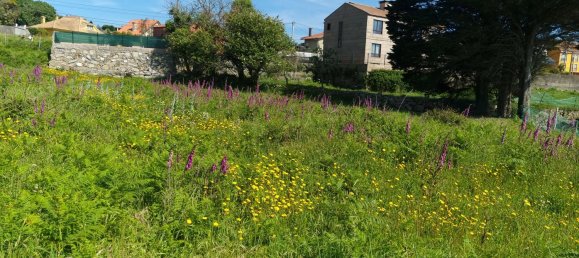 2700m² Land in A Guarda, Spain No. 72594 19