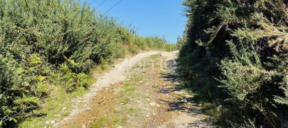 6800m² Land in Vila Nova de Famalicao, Portugal No. 35733 11