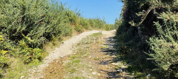 6800m² Land in Vila Nova de Famalicao, Portugal No. 35733 13