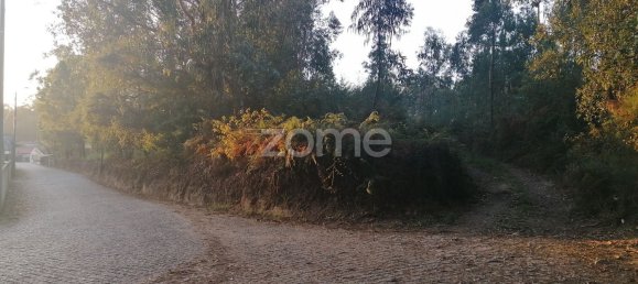 6800m² Land in Vila Nova de Famalicao, Portugal No. 35733 8