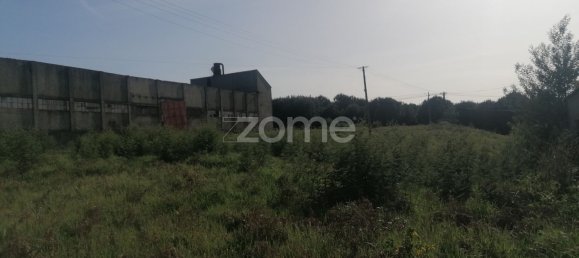 6800m² Land in Vila Nova de Famalicao, Portugal No. 35733 6