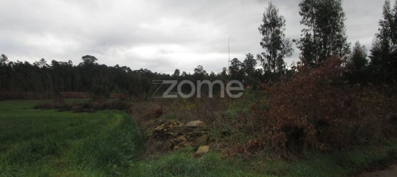 6800m² Land in Vila Nova de Famalicao, Portugal No. 35733 5