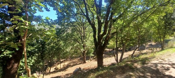 3 chambres Maison à Amaseno, Italy No. 352314 26