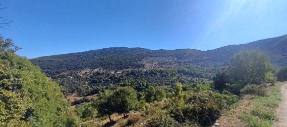 3 chambres Maison à Amaseno, Italy No. 352314 25
