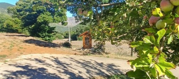 3 chambres Maison à Amaseno, Italy No. 352314 18