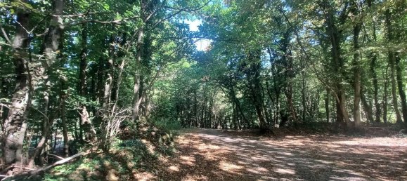 3 chambres Maison à Amaseno, Italy No. 352314 27