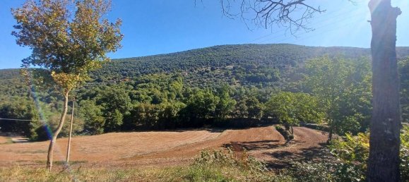 3 chambres Maison à Amaseno, Italy No. 352314 28