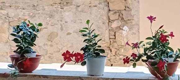 7 chambres Duplex à Villanova d'Albenga, Italy No. 349341 19