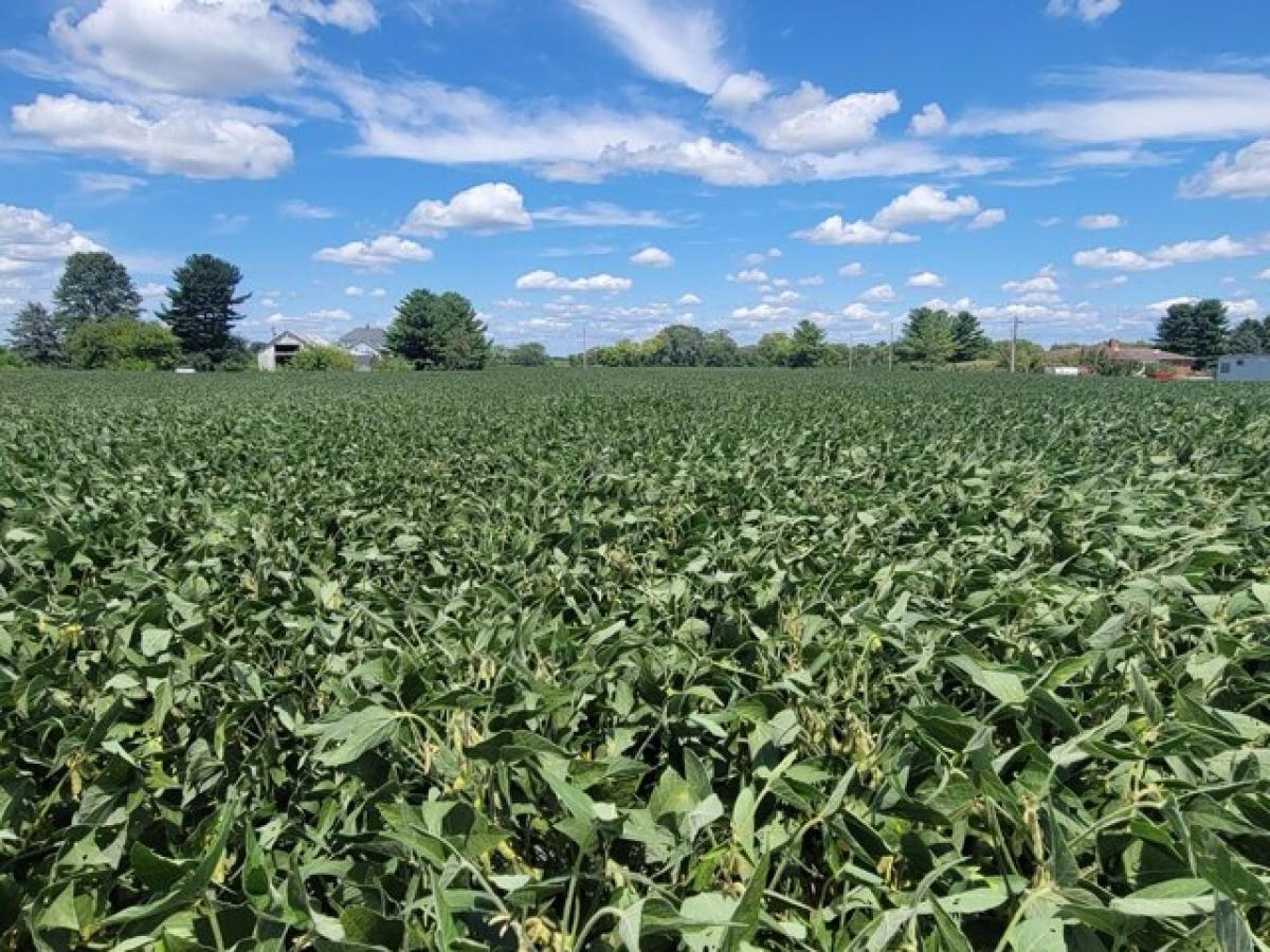  قطعة أرض في Millersport, USA رقم 501600