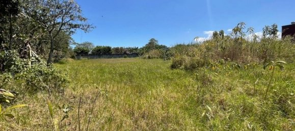 Terra em Desamparados, Costa Rica N.º 1952 3