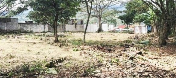 Terra em Desamparados, Costa Rica N.º 1952 6