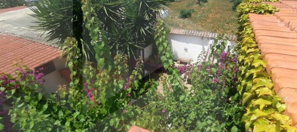 5غرفة فيلا في Manduria, Italy رقم 23502 24