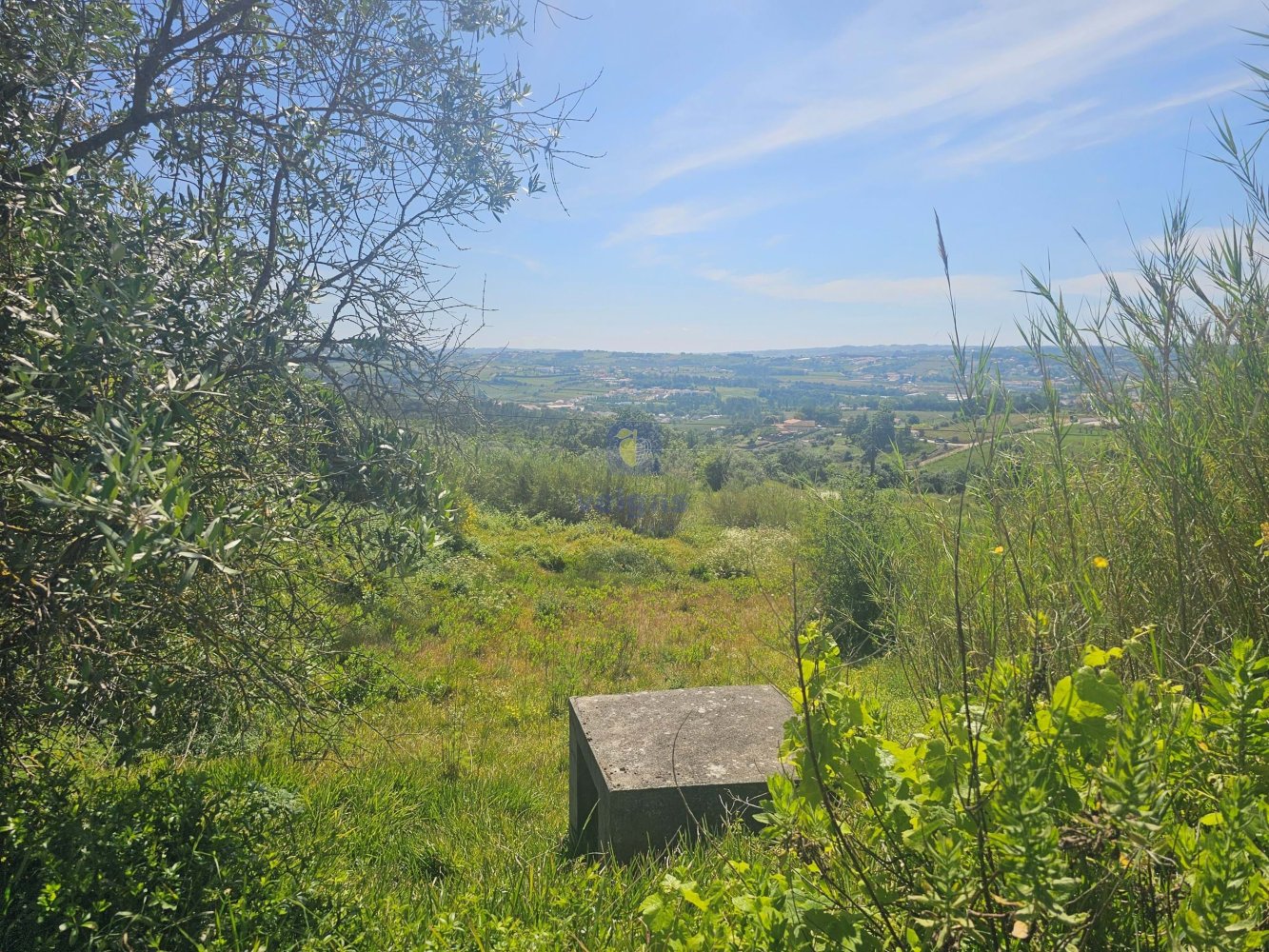 Grundstück in Aljubarrota, Portugal 2513m², Nr. 198633