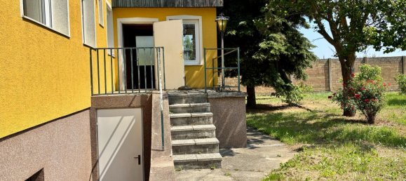 4 rooms Bungalow in Ringelsdorf-Niederabsdorf, Austria No. 129527 6