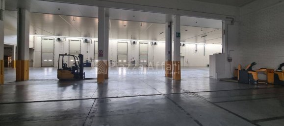 11799m² Warehouse in Reggio Emilia, Italy No. 16263 11