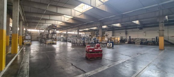 11799m² Warehouse in Reggio Emilia, Italy No. 16263 19
