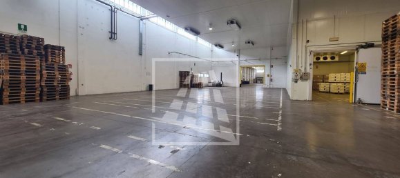 11799m² Warehouse in Reggio Emilia, Italy No. 16263 27