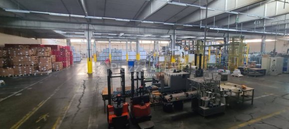 11799m² Warehouse in Reggio Emilia, Italy No. 16263 20