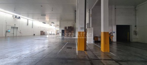 11799m² Warehouse in Reggio Emilia, Italy No. 16263 3